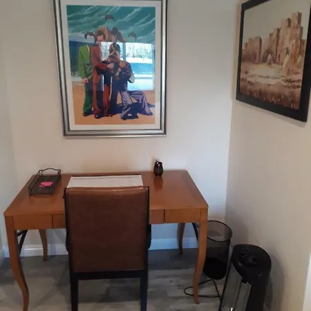 Comfortable Luxury Studio-2